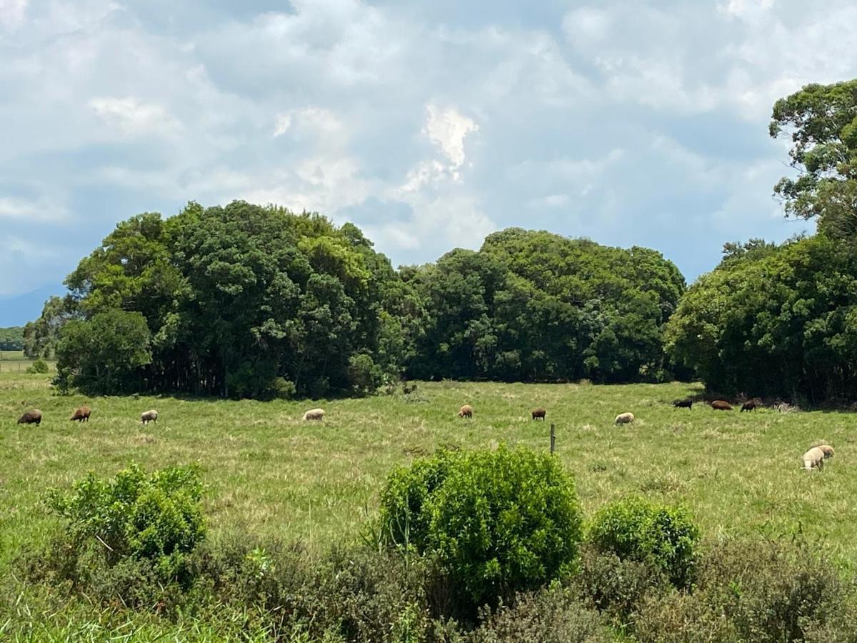 Haras Trevo De Ferro, Praia, Piscina E Campo ตอร์เฮส ภายนอก รูปภาพ